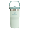 Stanley The IceFlow FlipStraw Tumbler Water Bottle 20 OZ In Mist Green