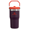 Stanley The IceFlow FlipStraw Tumbler Water Bottle 20 OZ In Plum Purple