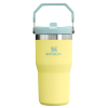 Stanley The IceFlow FlipStraw Tumbler Water Bottle 20OZ In Pomelo Yellow