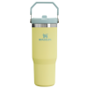 Stanley IceFlow Flip Straw Insulated Tumbler 30OZ in Pomelo Yellow
