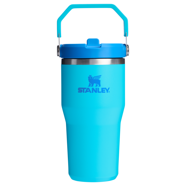 Stanley 20 OZ ProTour Flip Straw Tumbler Cup In Splash Blue