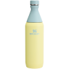 Stanley Leak Proof 20 OZ All Day Slim Bottle  with removable collar in Pomelo