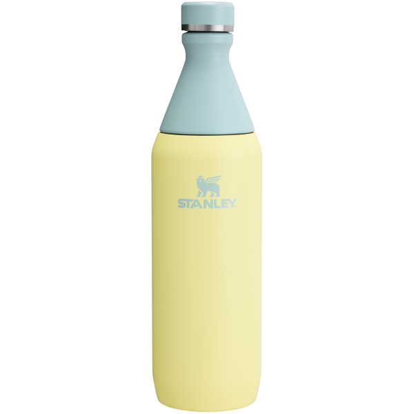 Stanley Leak Proof 20 OZ All Day Slim Bottle  with removable collar in Pomelo