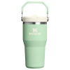 Stanley 20 OZ IceFlow Stainless Steel Water Bottle In PIstachio Green with Flip Straw