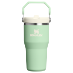 Stanley 20 OZ IceFlow Stainless Steel Water Bottle In PIstachio Green with Flip Straw