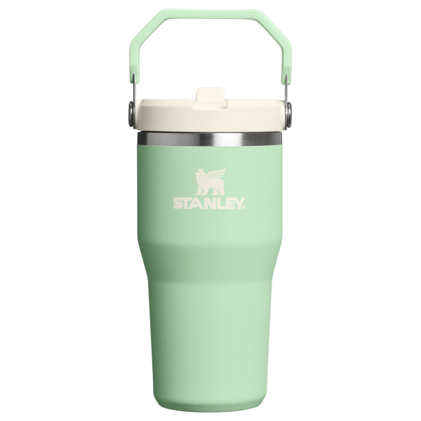 Stanley 20 OZ IceFlow Stainless Steel Water Bottle In PIstachio Green with Flip Straw