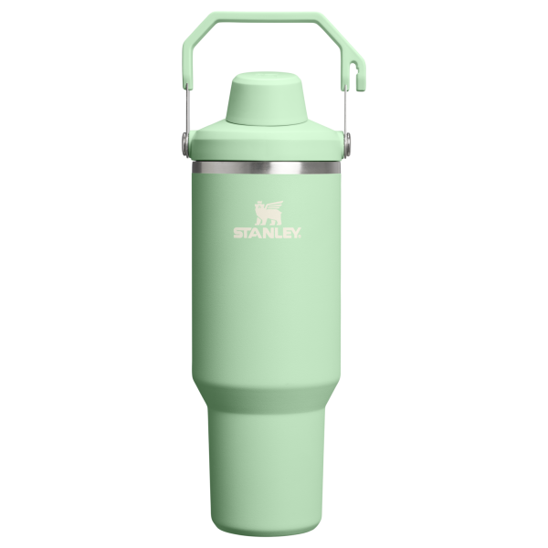Stanley 20 OZ IceFlow Aerolight Stainless Steel Water Bottle In Pistachio Green with Fast Flow Lid