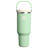 Stanley 40 OZ IceFlow Stainless Steel Water Bottle In Pistachio Green with Flip Straw