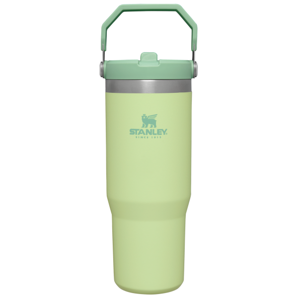 Stanley 30 oz IceFlow Flip Straw Water Bottle In Citron Green