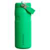 Stanley 16 OZ IceFlow Aerolight Water Bottle With Flip Straw In Meadow Green