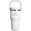 Stanley 20 OZ ProTour Flip Straw Tumbler Cup In Frost White