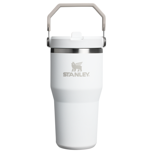 Stanley 20 OZ ProTour Flip Straw Tumbler Cup In Frost White