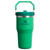 Stanley 20 Oz IceFlow Flip Straw Tumbler In Meadown Green