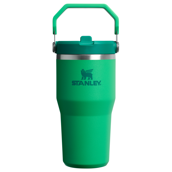 Stanley 20 Oz IceFlow Flip Straw Tumbler In Meadown Green