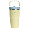 Stanley 20 OZ IceFlow Flip Straw Insulated Tumbler In Pomelo Yellow