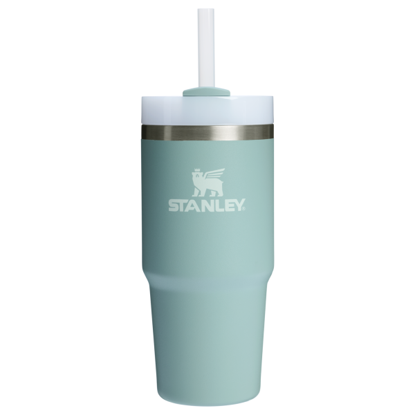 Stanley 20 OZ Quencher Insulated Tumbler With Straw In Seafoam Green