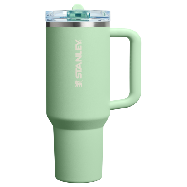 Stanley 40 OZ Quencher ProTour Stainless Steel Tumbler In PIstachio Green with Flip Straw