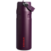 The Stanley IceFlow Aerolight Water Bottle Fast Flow 24OZ In Plum Purple