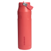 Stanley 36 OZ IceFlow Aerolight Water Bottle WIth Flip Straw In Hot Coral Red