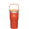 Stanley The IceFlow FlipStraw Tumbler Water Bottle 20 OZ In Tigerlily 